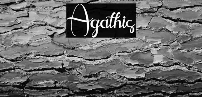 Agathis Example 3