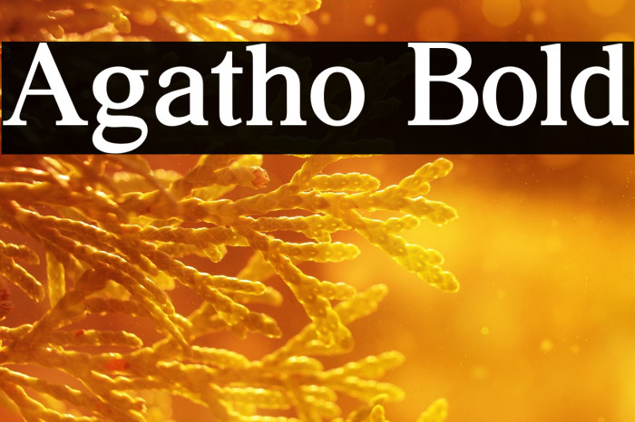 Agatho Bold Example 1