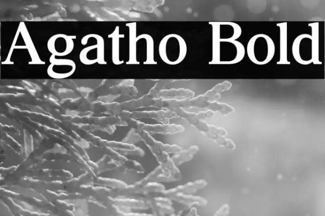 Agatho Bold Example 1