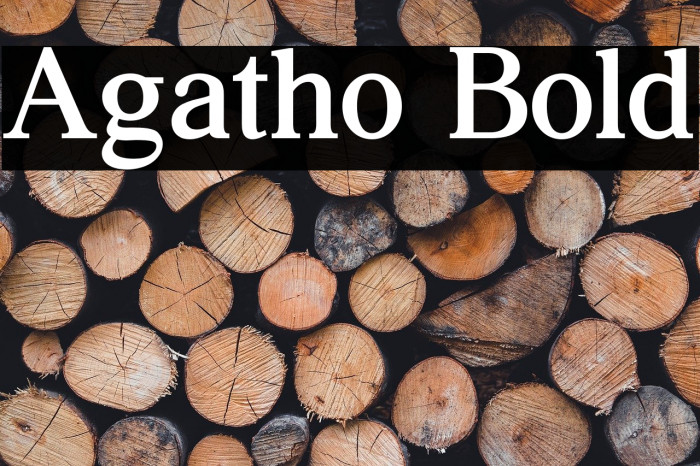 Agatho Bold Example 3