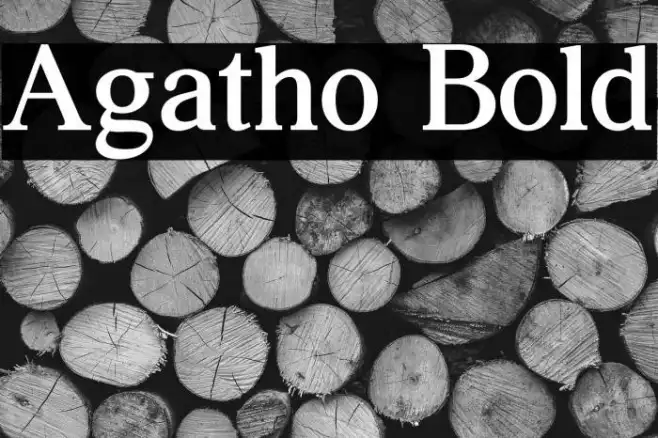 Agatho Bold Example 3