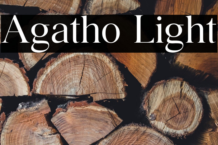 Agatho Light Example 3