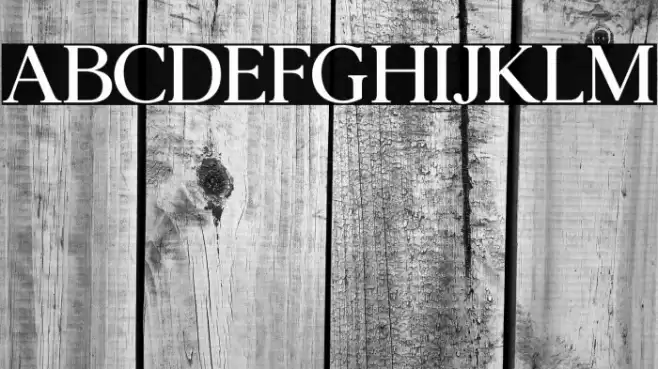 Agatho Medium Font examples