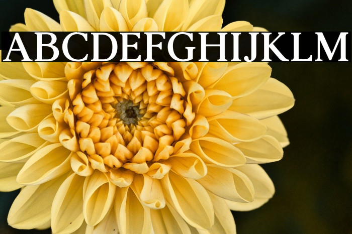 AgathoBoldCAPS Example 2