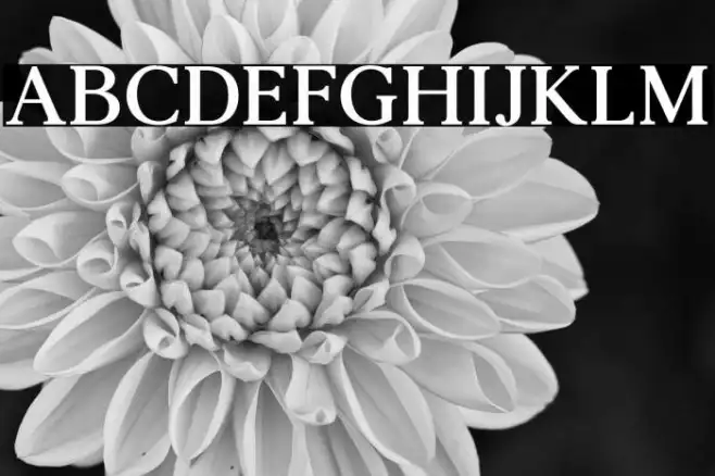 AgathoBoldCAPS Example 2