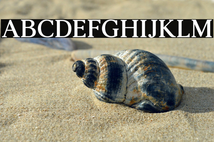 AgathoBoldCAPS Example 3