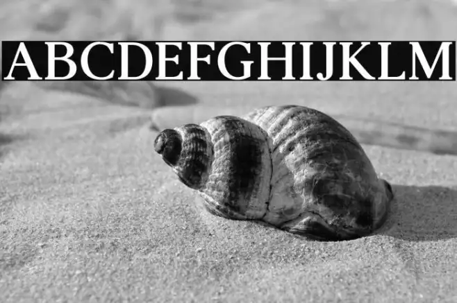 AgathoBoldCAPS Example 3