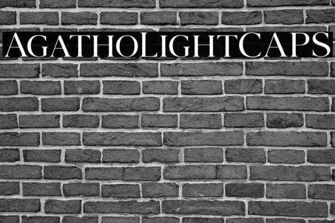 AgathoLightCAPS Example 2