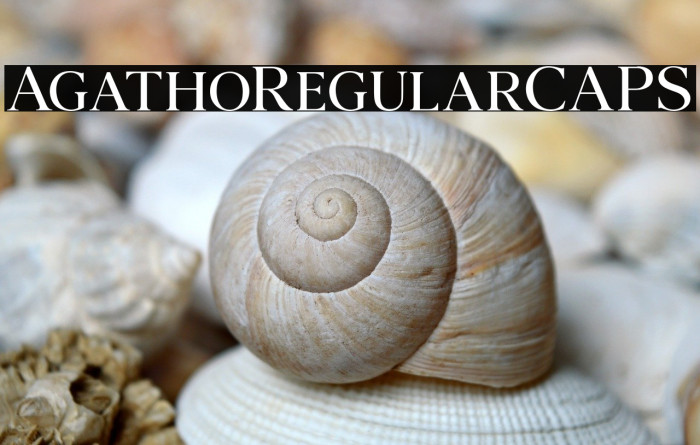 AgathoRegularCAPS Example 3