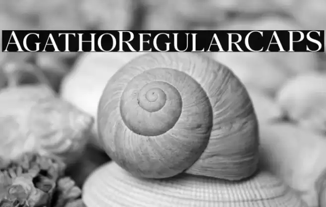 AgathoRegularCAPS Font examples