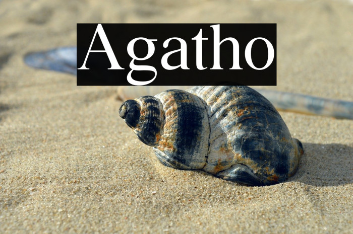 Agatho Example 1