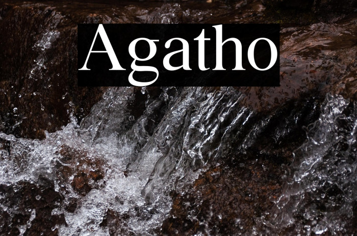 Agatho Example 2