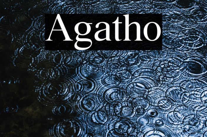 Agatho Example 3