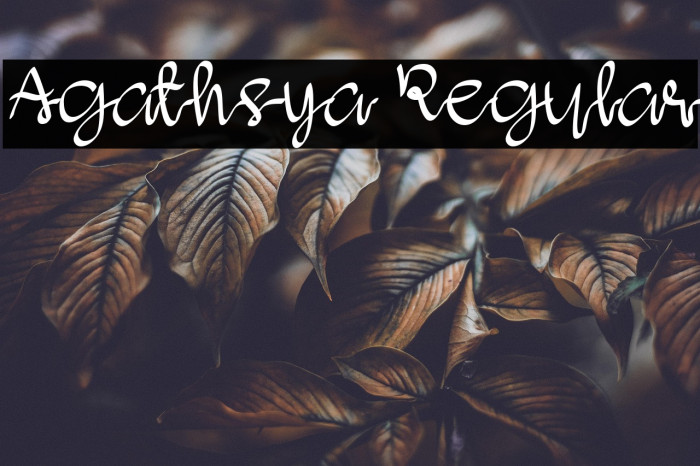 Agathsya Regular Example 2