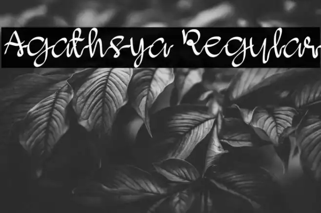 Agathsya Regular Example 2