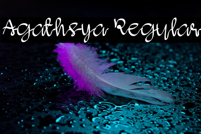 Agathsya Regular Example 3