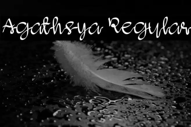 Agathsya Regular Example 3