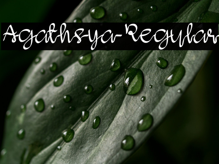 Agathsya-Regular Example 1