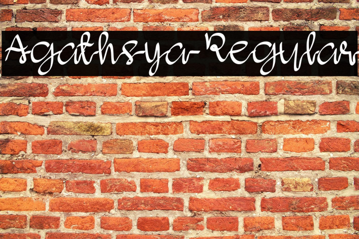 Agathsya-Regular Example 3