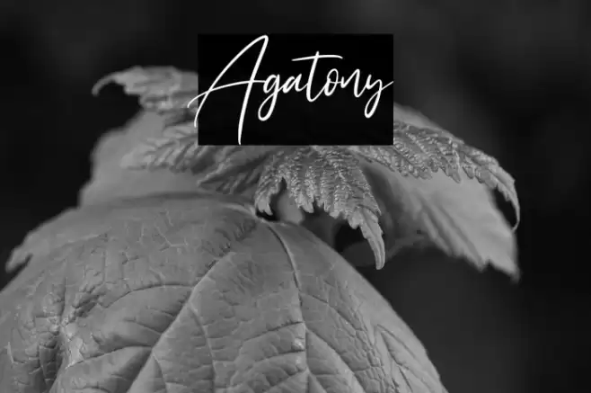 Agatony Font examples
