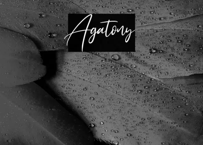 Agatony Font examples