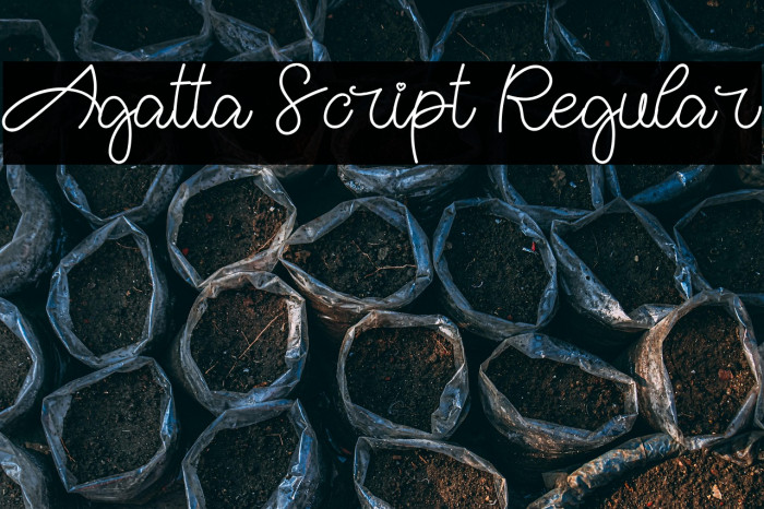 Agatta Script Regular Example 1