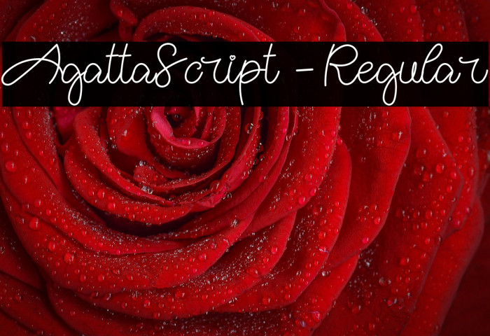 AgattaScript-Regular Example 1