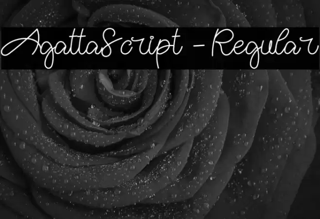AgattaScript-Regular Font examples