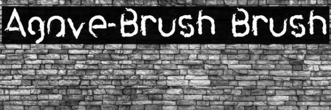 Agave-Brush Brush Example 1