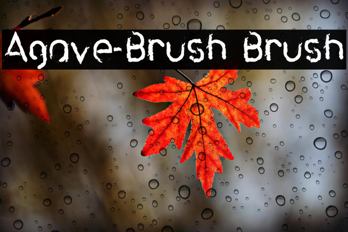 Agave-Brush Brush Example 2