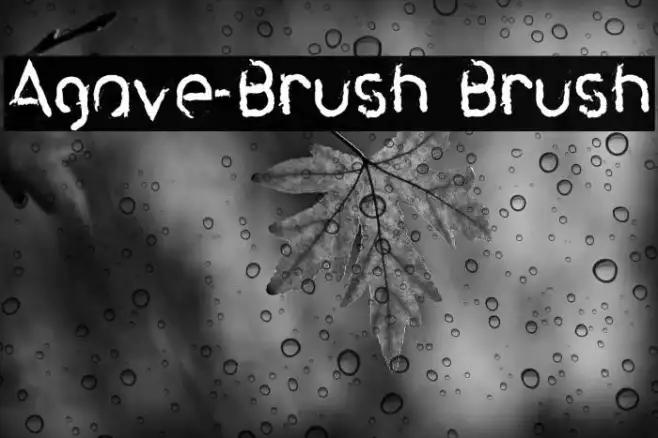 Agave-Brush Brush Example 2