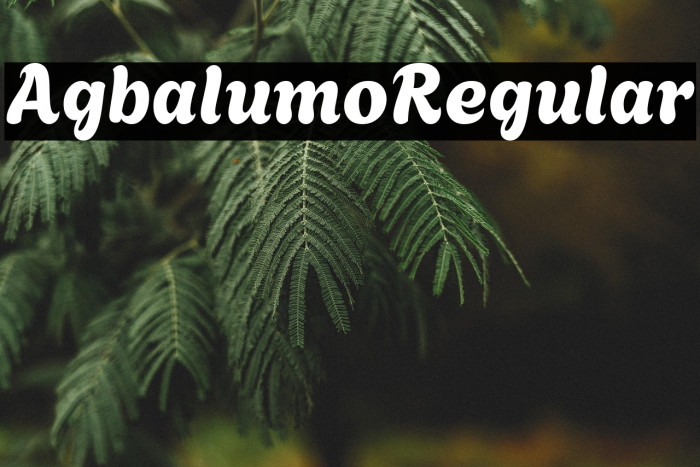 Agbalumo Regular Example 1