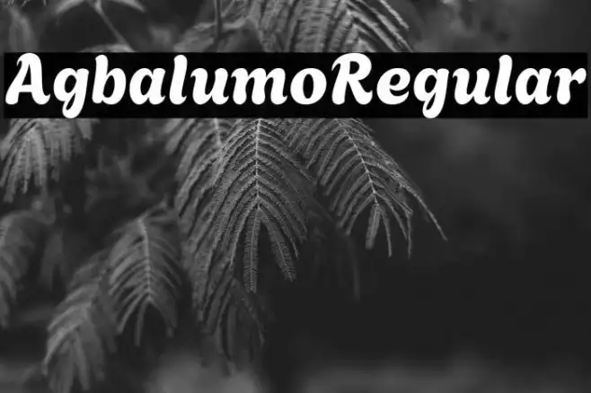 Agbalumo Regular Example 1