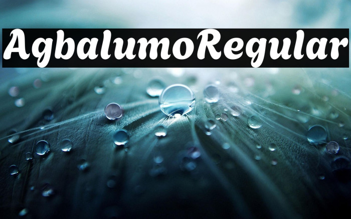 Agbalumo Regular Example 2