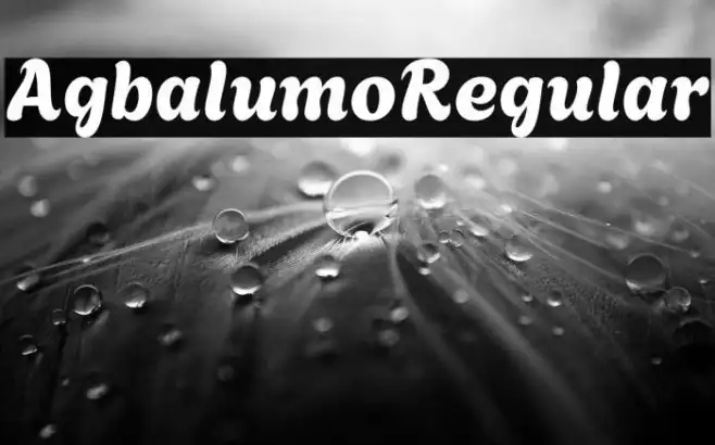 Agbalumo Regular Example 2