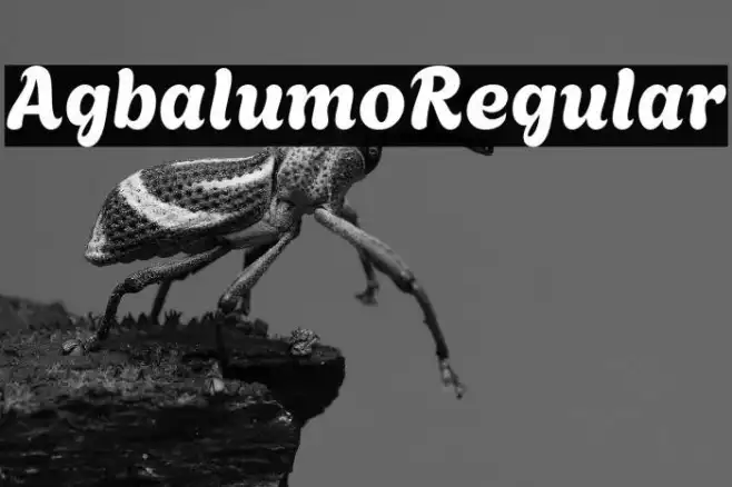 Agbalumo Regular Example 3
