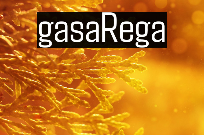 Agdasima Regular Example 1