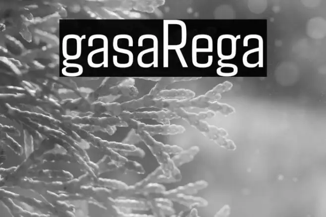 Agdasima Regular Example 1