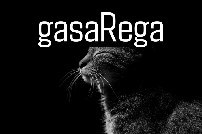 Agdasima Regular Example 3