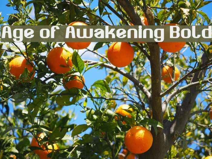 Age of Awakening Bold Font examples