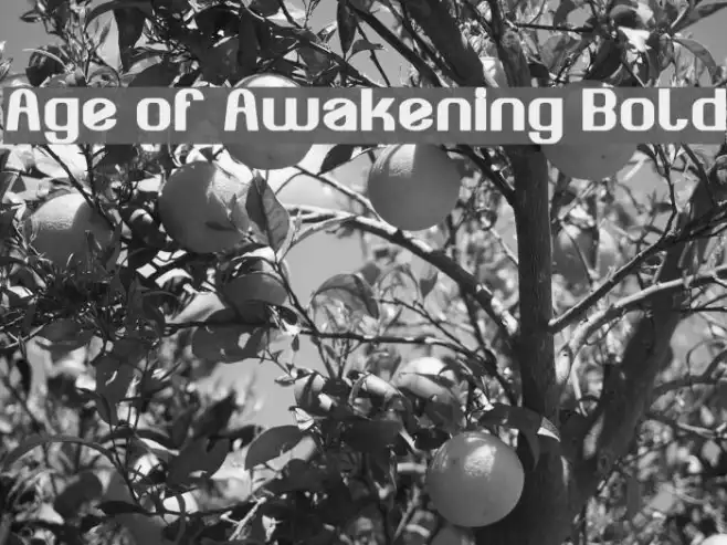 Age of Awakening Bold Example 1