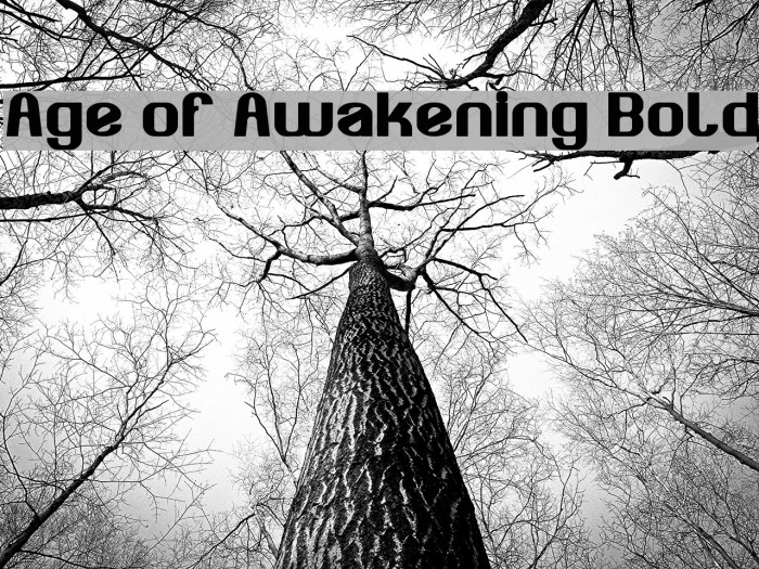 Age of Awakening Bold Font examples