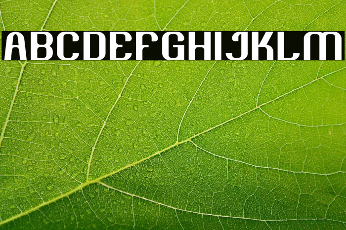 Age of Awakening Example 2