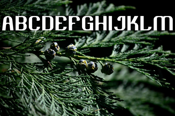 Age of Awakening Example 3