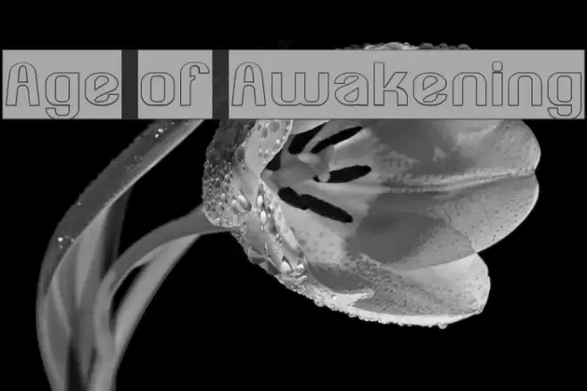 Age of Awakening Font examples