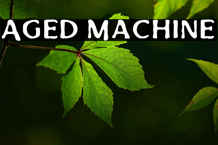 Aged Machine Font examples