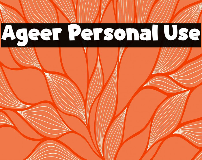 Ageer Personal Use Example 2