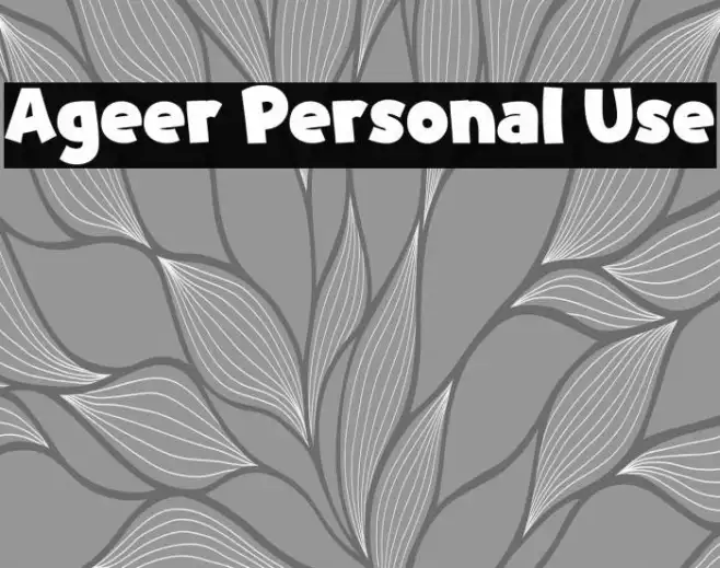 Ageer Personal Use Example 2