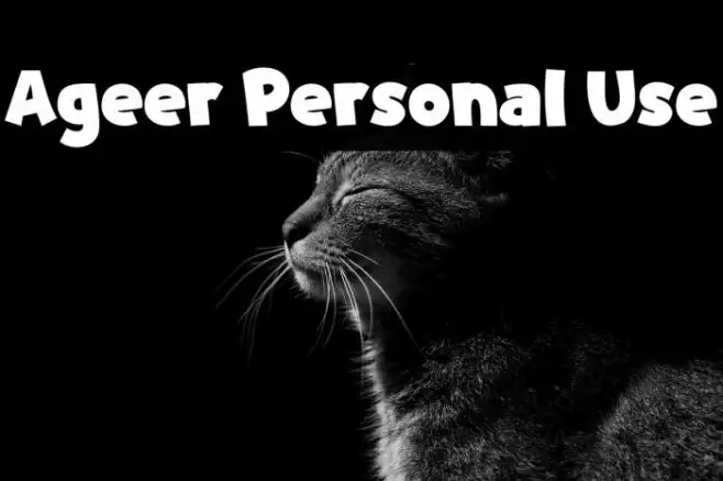 Ageer Personal Use Example 3