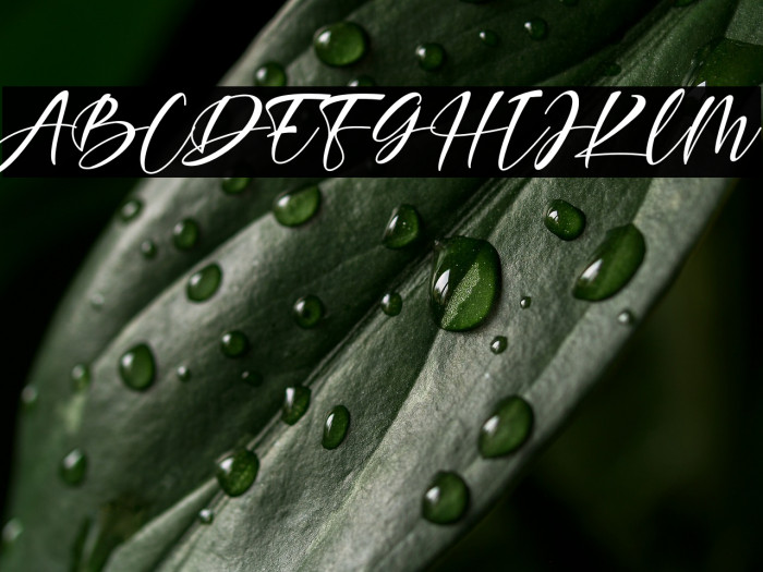 Agellia Benitta Example 2